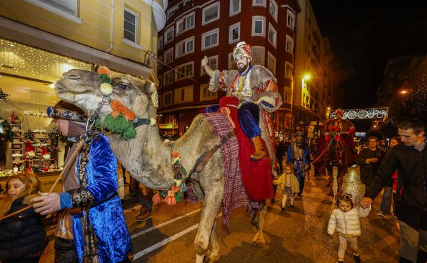 Otra ONG naturalista arremete contra el Ayuntamiento por el desfile con dromedarios