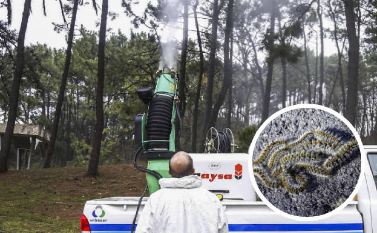 Imagen de archivo de un operario fumigando con un cañón nebulizador el parque de La Magdalena. 