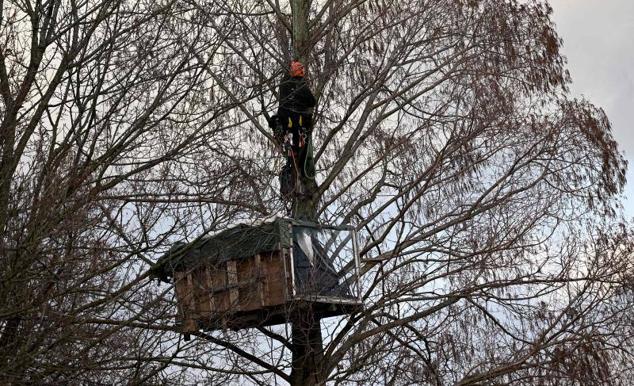 Los activistas han estado viviendo en cabañas en los árboles para evitar la explotación de la mina de carbón situada en el pueblo.