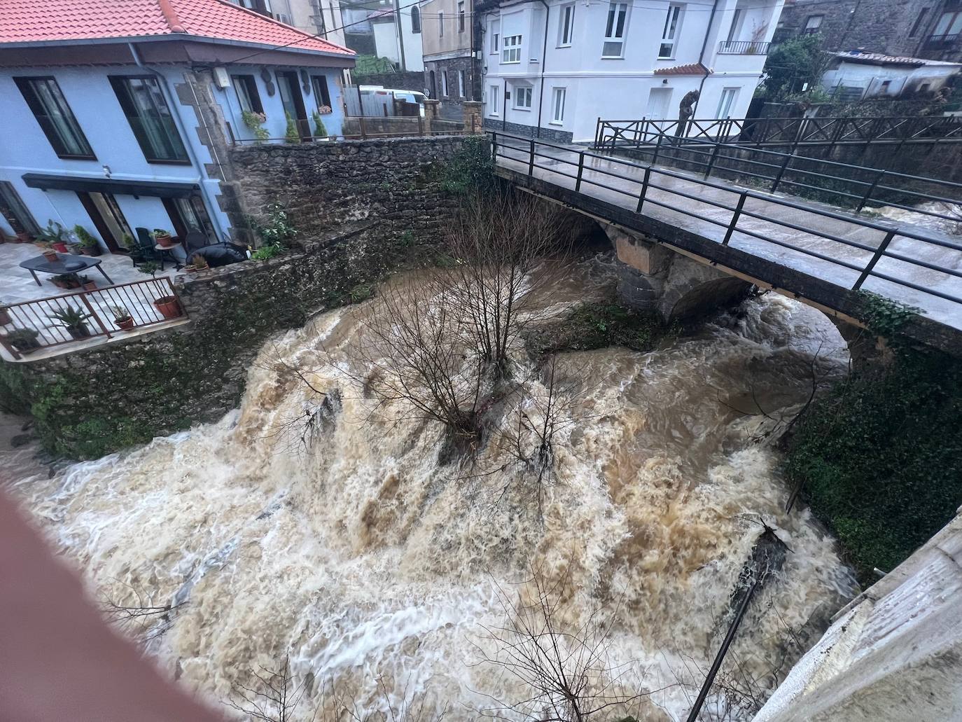 Así baja el río Miera a la altura de La Cavada. Varios cauces de la región están bajo vigilancia por el rápido aumento de sus caudales.