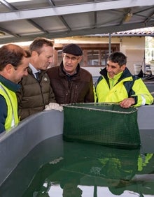 Imagen secundaria 2 - El consejero saludó a los trabajadores del centro y se interesó por la crucial labor que realizan para repoblar los ríos 