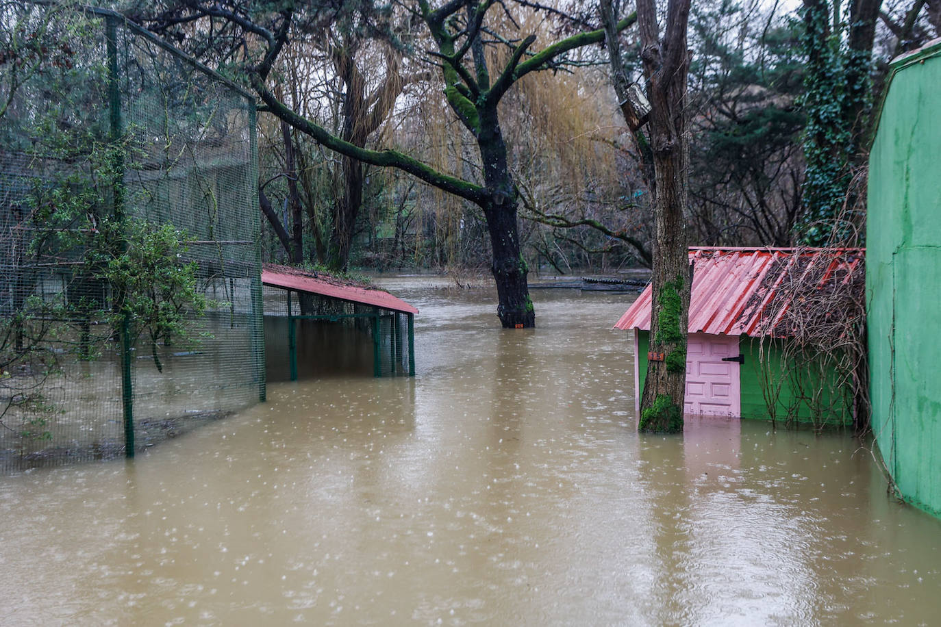 La lluvia siguió cayendo durante toda la jornada del martes, lo que dificultó las labores de traslado de algunos animales.