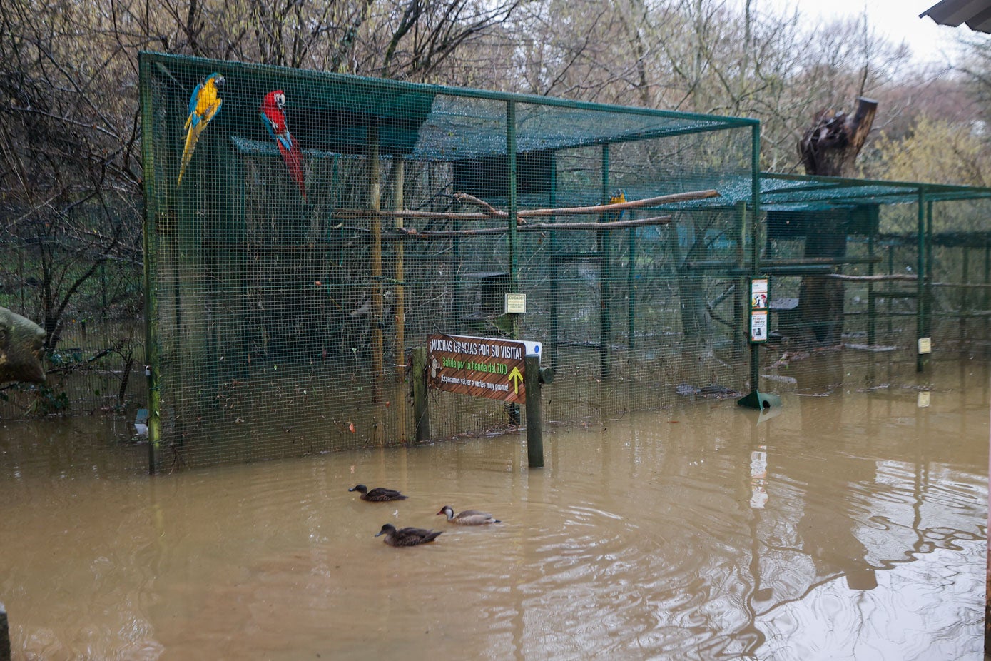 Fotos: Los animales del Zoo de Santillana del Mar sufren las consecuencias de las inundaciones