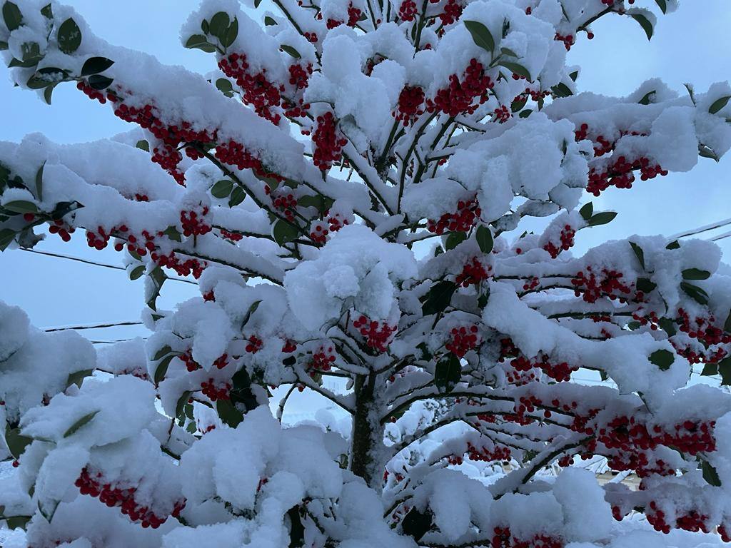 La nieve deja hermosas estampas en Valderredible.