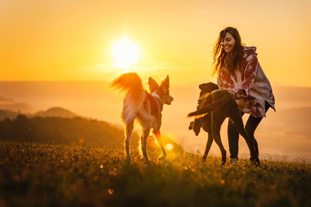 Una mujer junto a dos perros en el atardecer. 