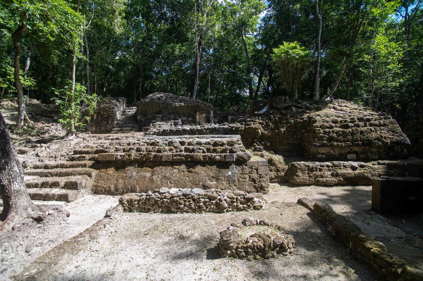 Un grupo de geólogos ha descubierto al norte del país unos restos de la civilización maya que han estado ocultos durante siglos bajo la penumbra de una selva tropical. Entre el vasto manto verde de la selva emerge, entre otras, la cresta de la Danta, una de las pirámides más grandes del mundo ubicada en la megaciudad maya El Mirador