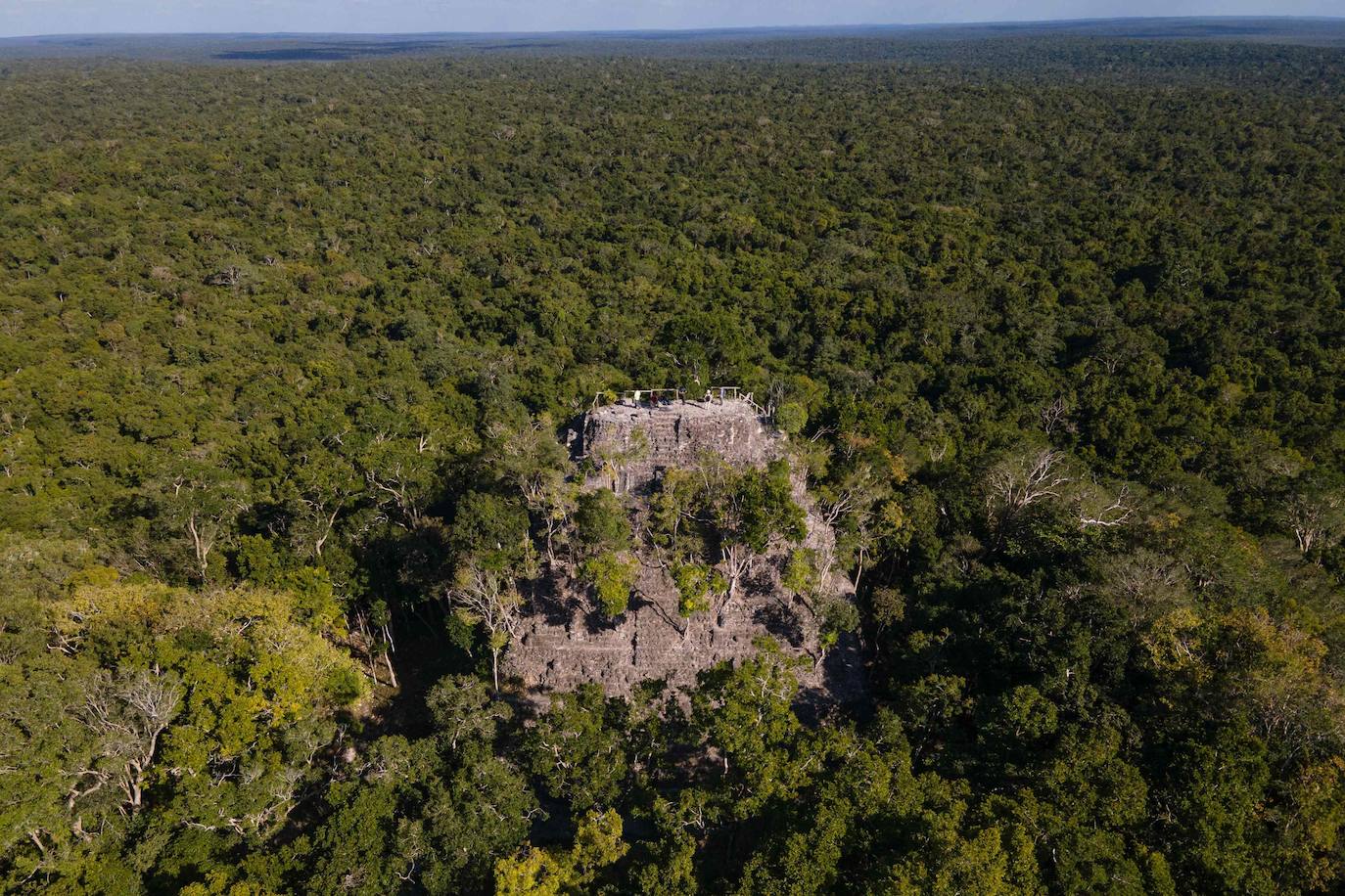 Un grupo de geólogos ha descubierto al norte del país unos restos de la civilización maya que han estado ocultos durante siglos bajo la penumbra de una selva tropical. Entre el vasto manto verde de la selva emerge, entre otras, la cresta de la Danta, una de las pirámides más grandes del mundo ubicada en la megaciudad maya El Mirador