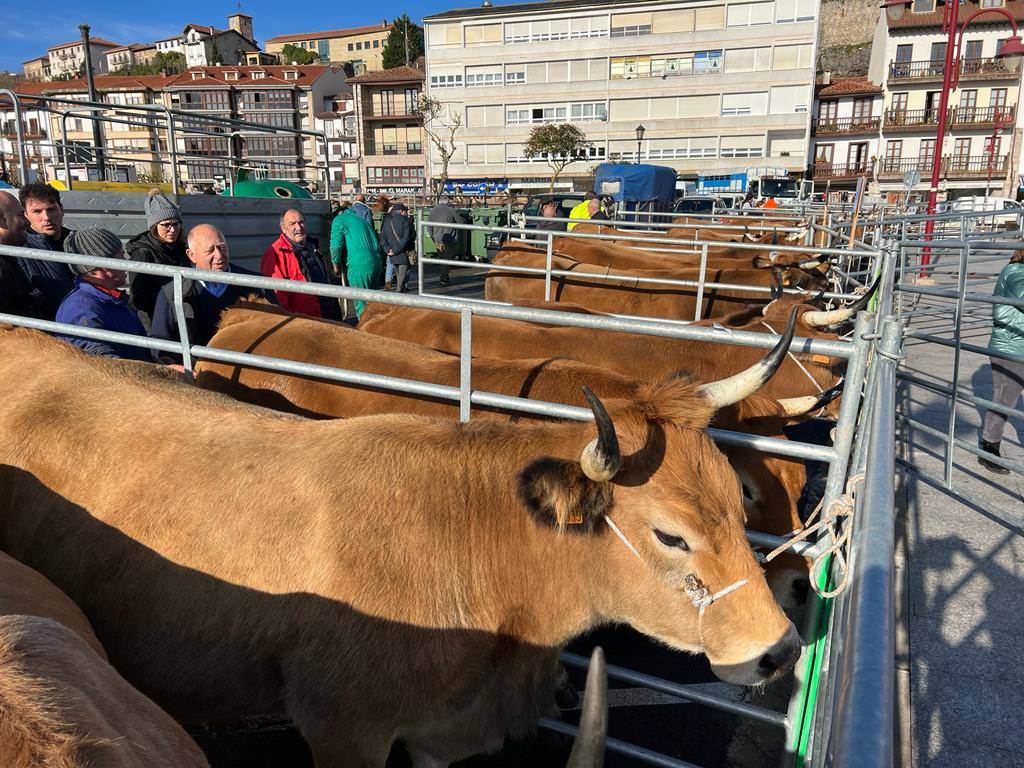 El buen tiempo ha animado a los ciudadanos a participar no sólo en la feria ganadera, también en el mercadillo y los concursos de ollas ferroviarias y marmita.