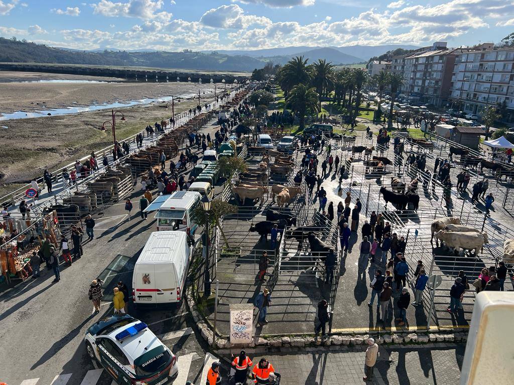 La feria ganadera ocupó todo el paseo marítimo de San Vicente.