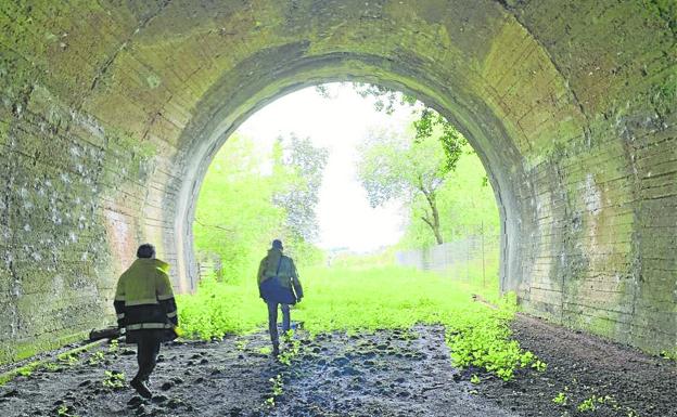 El túnel será totalmente rehabilitado y contará con iluminación. 