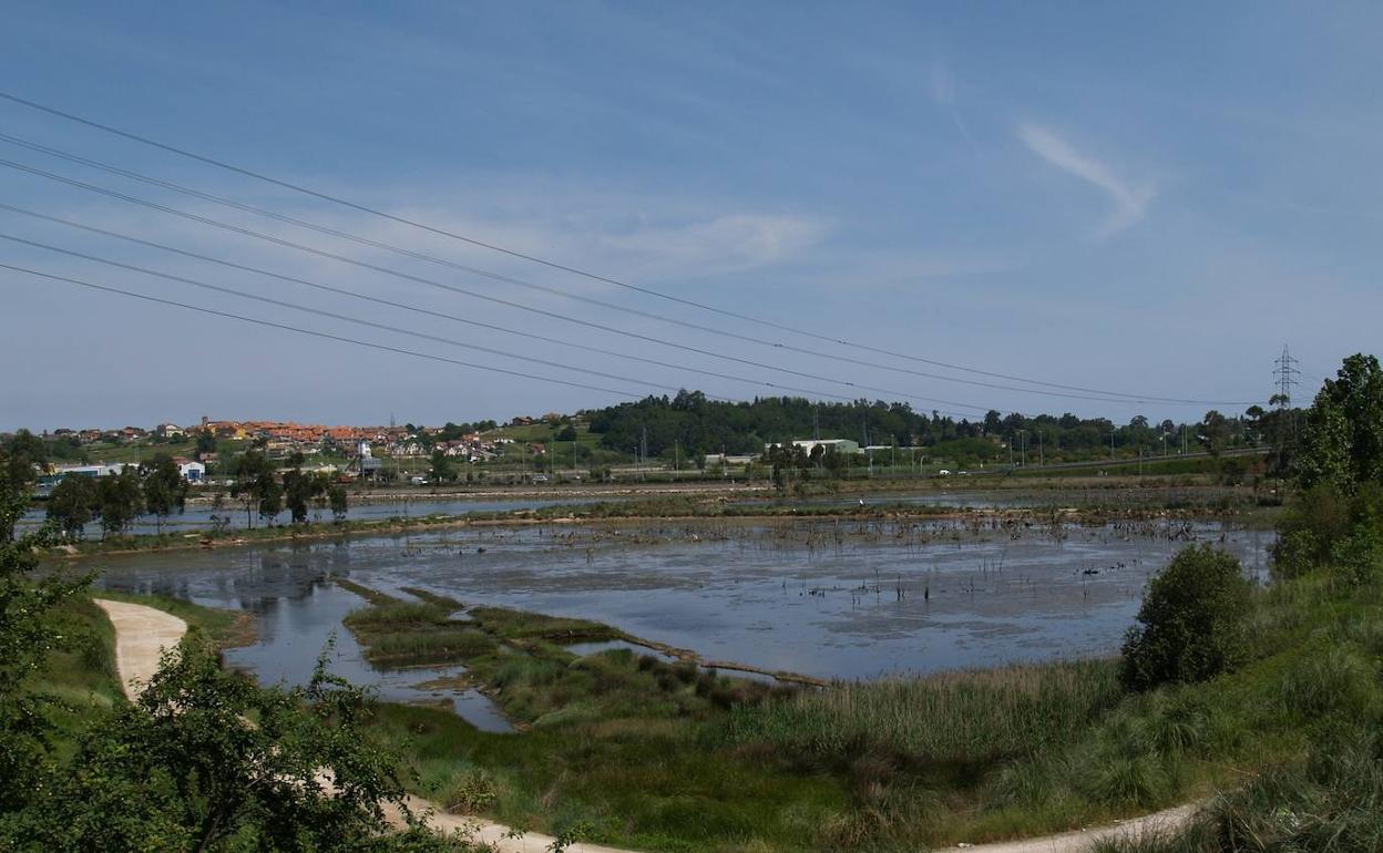 Vista de la marisma de El Astillero