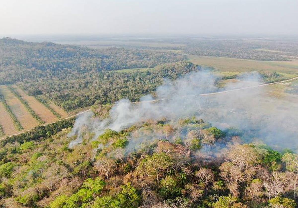 Imagen principal - Imágenes de los incendios que asolan la zona en la que trabaja Iván.