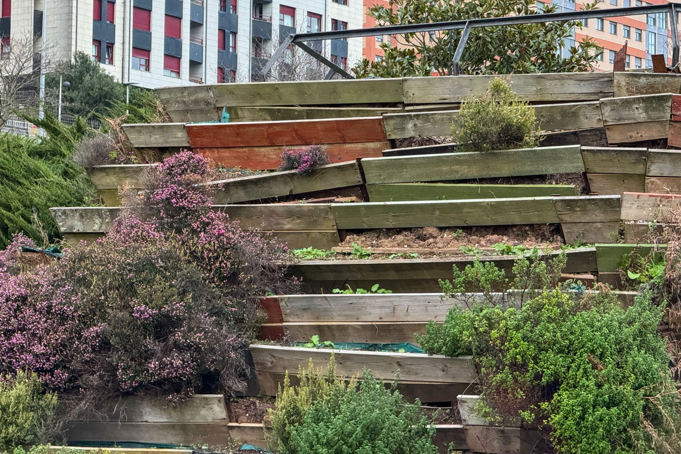 Los parterres escalonados que salvan el desnivel entre el parque y la S-20 están rotos y, las plantas, secas.