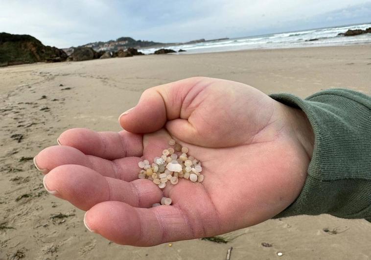 Roberto Sánchez, recogiendo bolitas en la playa de San Vicente de la Barquera.