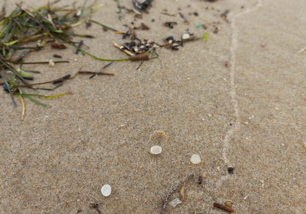 Pellets detectados en la playas de la región.