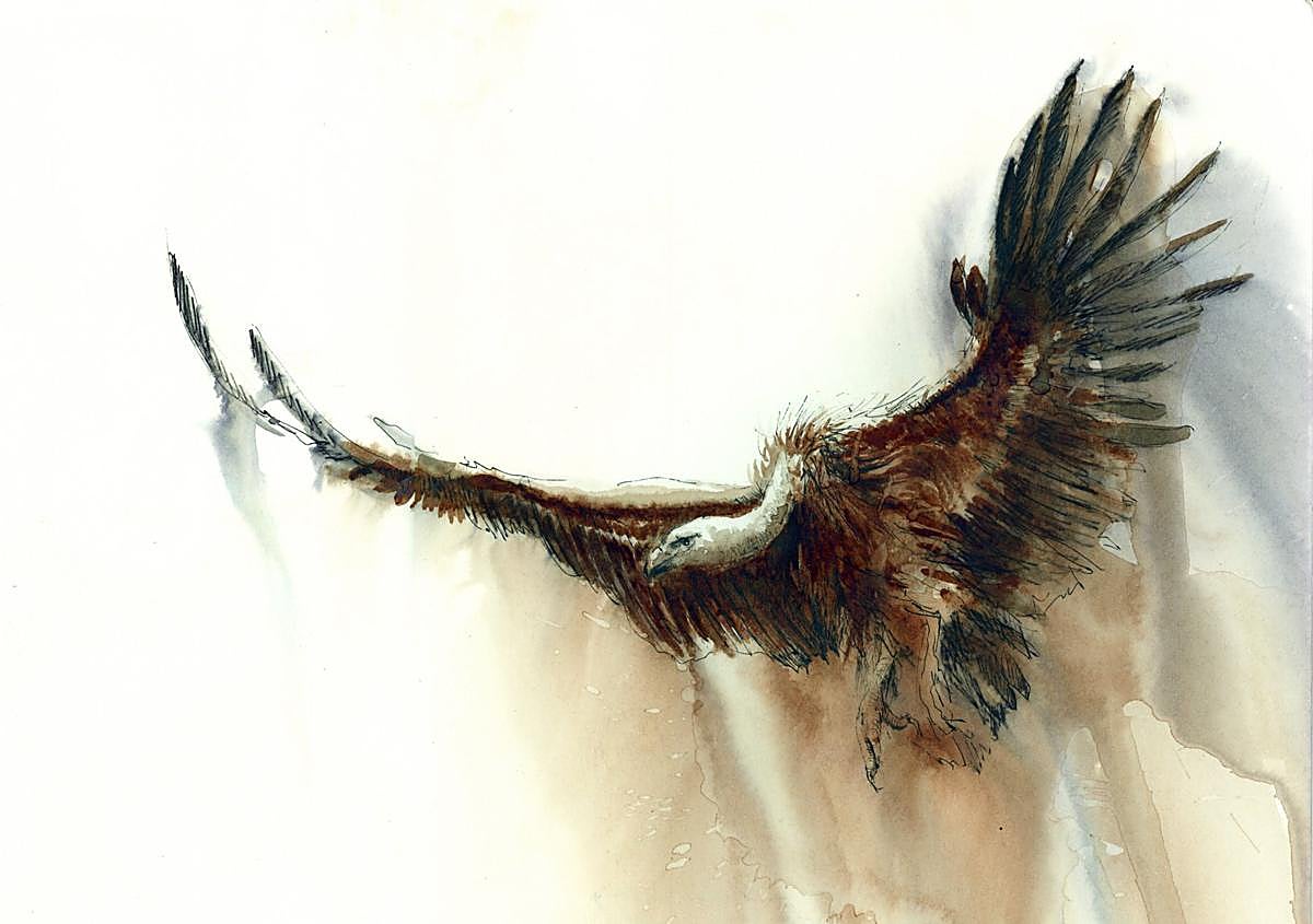 Imagen secundaria 1 - La &#039;Tinta salvaje&#039; de un cuaderno de campo