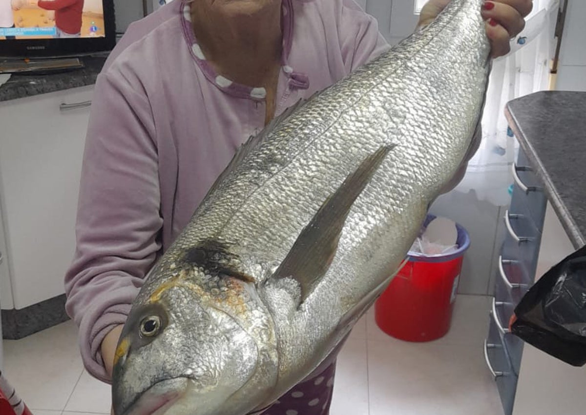 Imagen secundaria 1 - «He estado casi media hora para sacar la dorada de más de 7 de kilos»