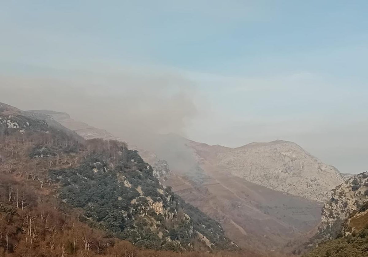 Canal de Roacía donde se ha localizado el incendio.