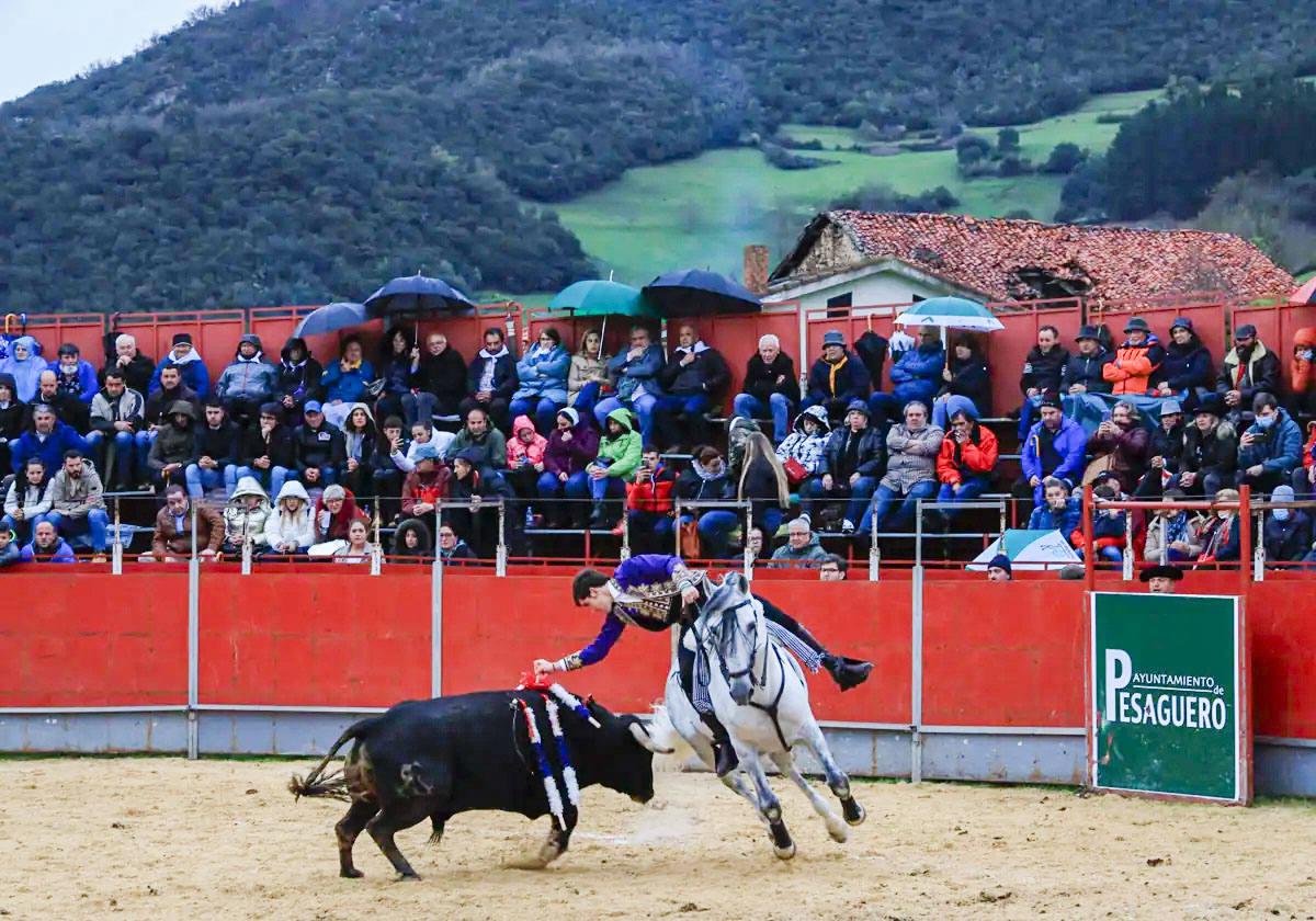 Festival taurino en Pesaguero el año pasado.