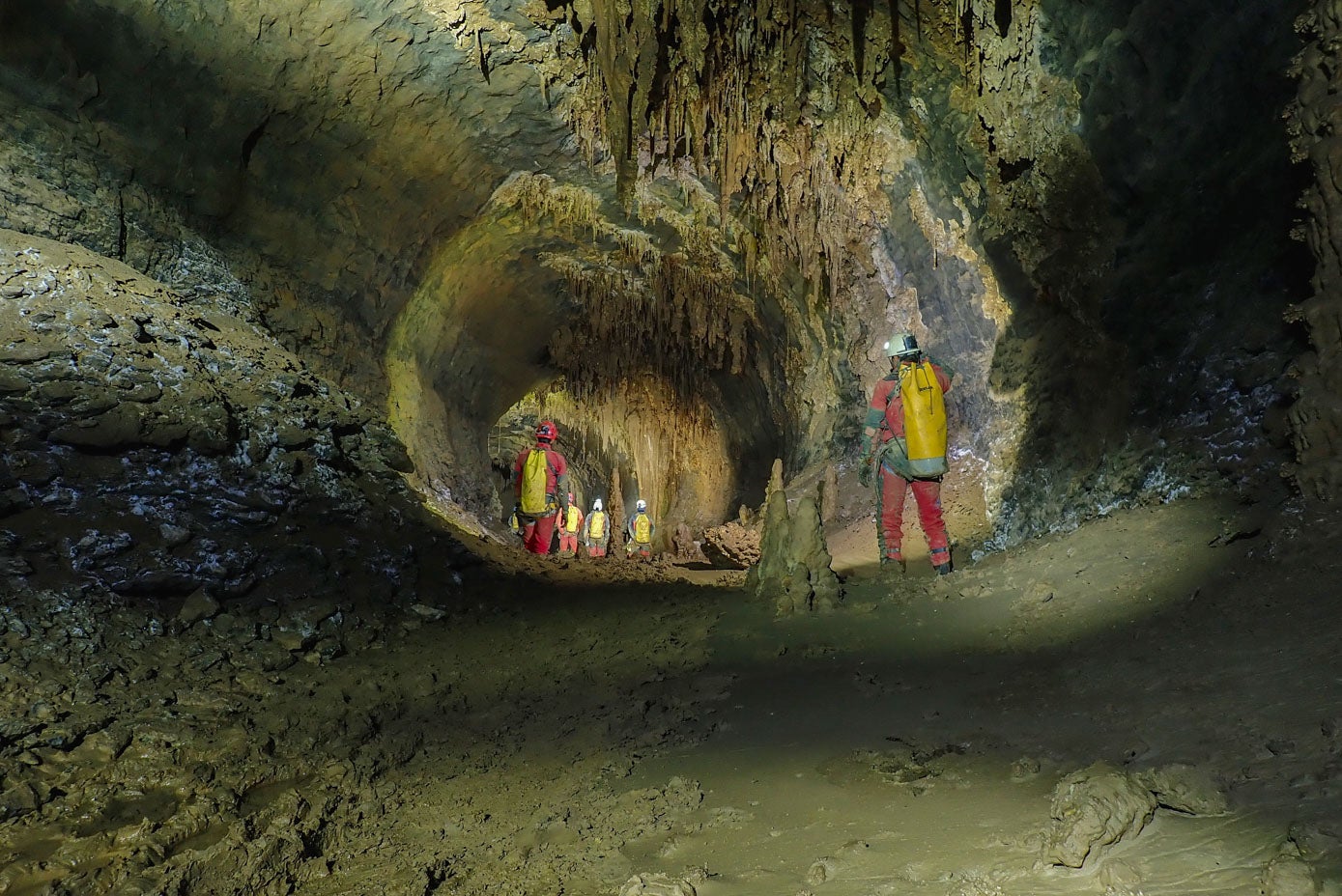 La cueva más grande conocida es la Mammoth Cave, un espectacular sistema de cavidades conectadas situado en Brownsville, Kentucky, EE. UU., con un total de 651,8 kilómetros de longitud.