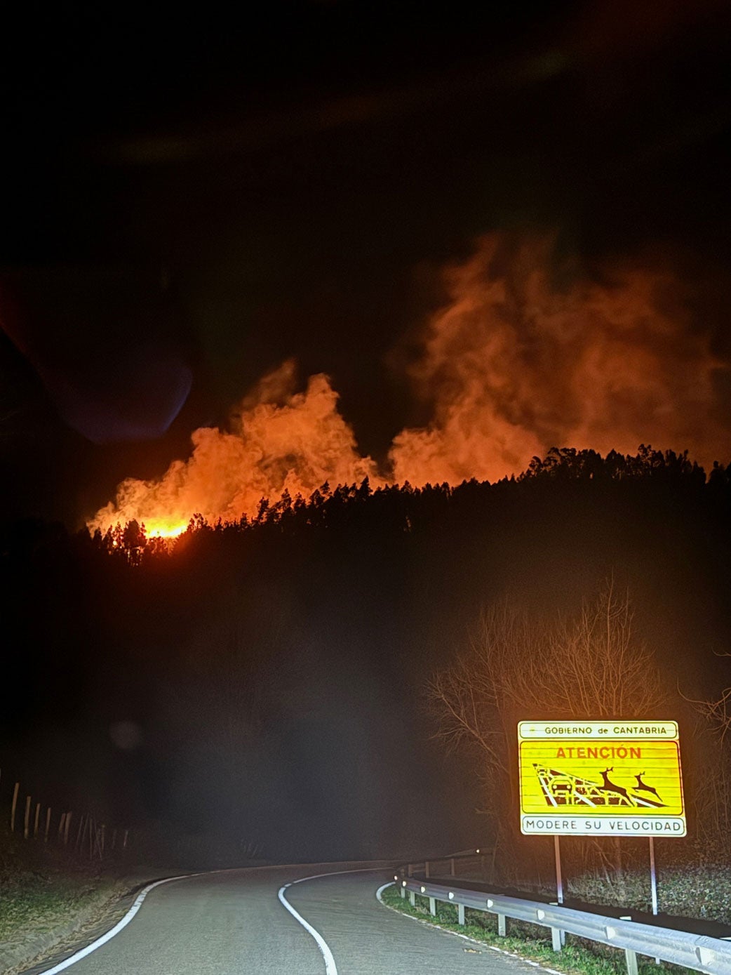 Las llamas, en el monte sobre Carmona