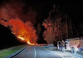 El fuego, junto a la carretera en la zona de Carmona.