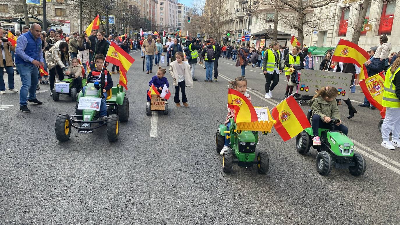 Los niños, con tractores, cabras y campanos, abren la marcha y son los primeros en alcanzar la Delegacion de Gobierno: «Yo quiero ser ganadero si me dejáis» rezan los carteles