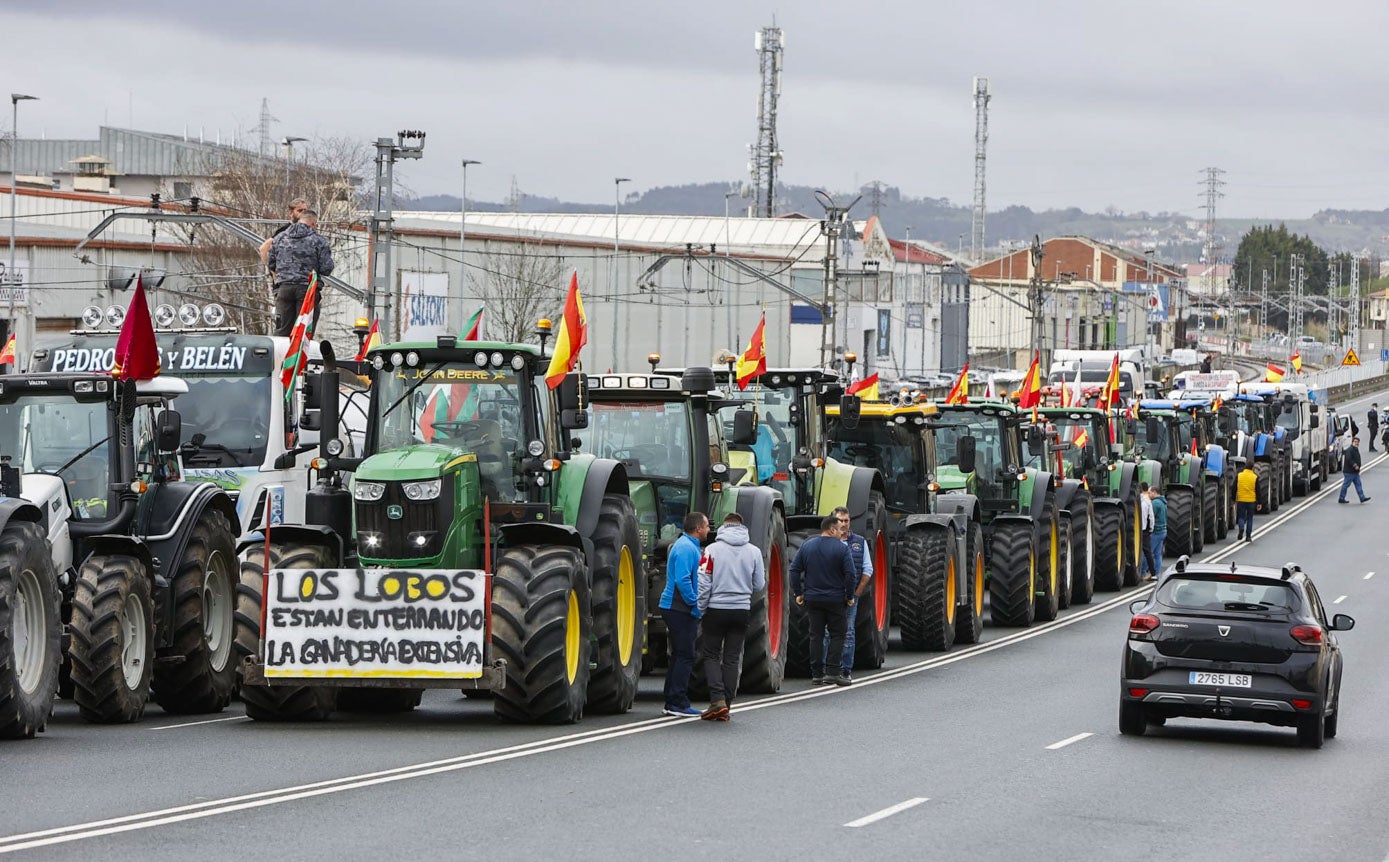 Los ganaderos han llegado a Santander en cuatro grandes grupos procedentes de la zona occidental, la parte oriental, Campoo y los Valles Pasiegos.