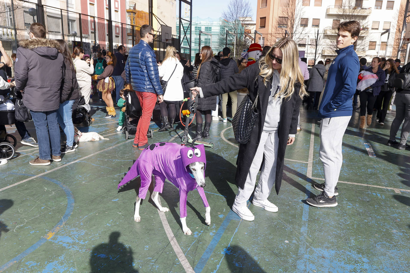 Los perros se unen al Carnaval y desfilan en Torrelavega