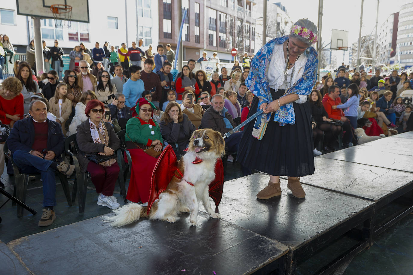 Los perros se unen al Carnaval y desfilan en Torrelavega