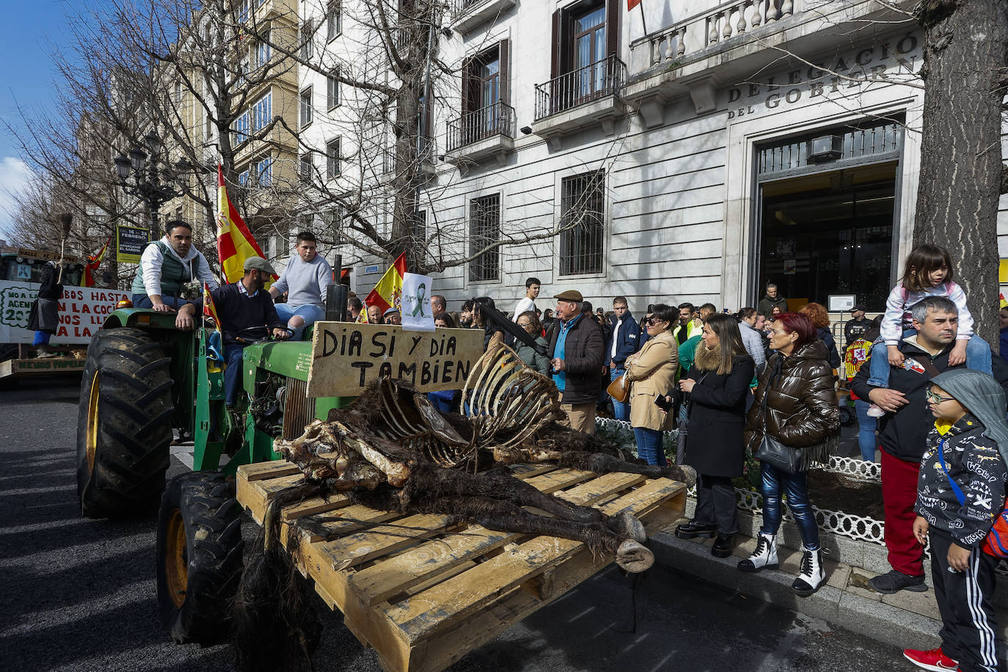 Ganaderos muestran el cadáver de un potro devorado por los lobos ante la sede de Delegación de Gobierno en Santander.