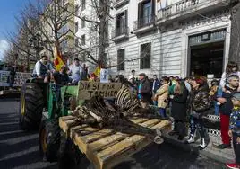Ganaderos muestran el cadáver de un potro devorado por los lobos ante la sede de Delegación de Gobierno en Santander.