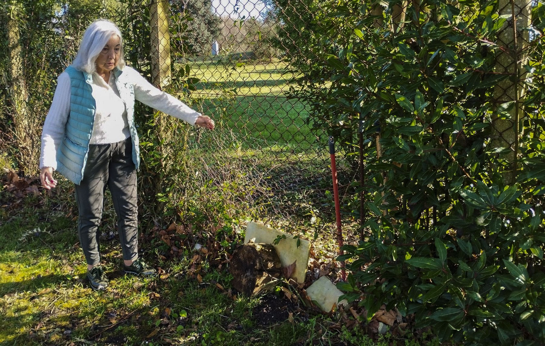 Mari Luz señala una de las zonas de su finca por la que han accedido los jabalíes.