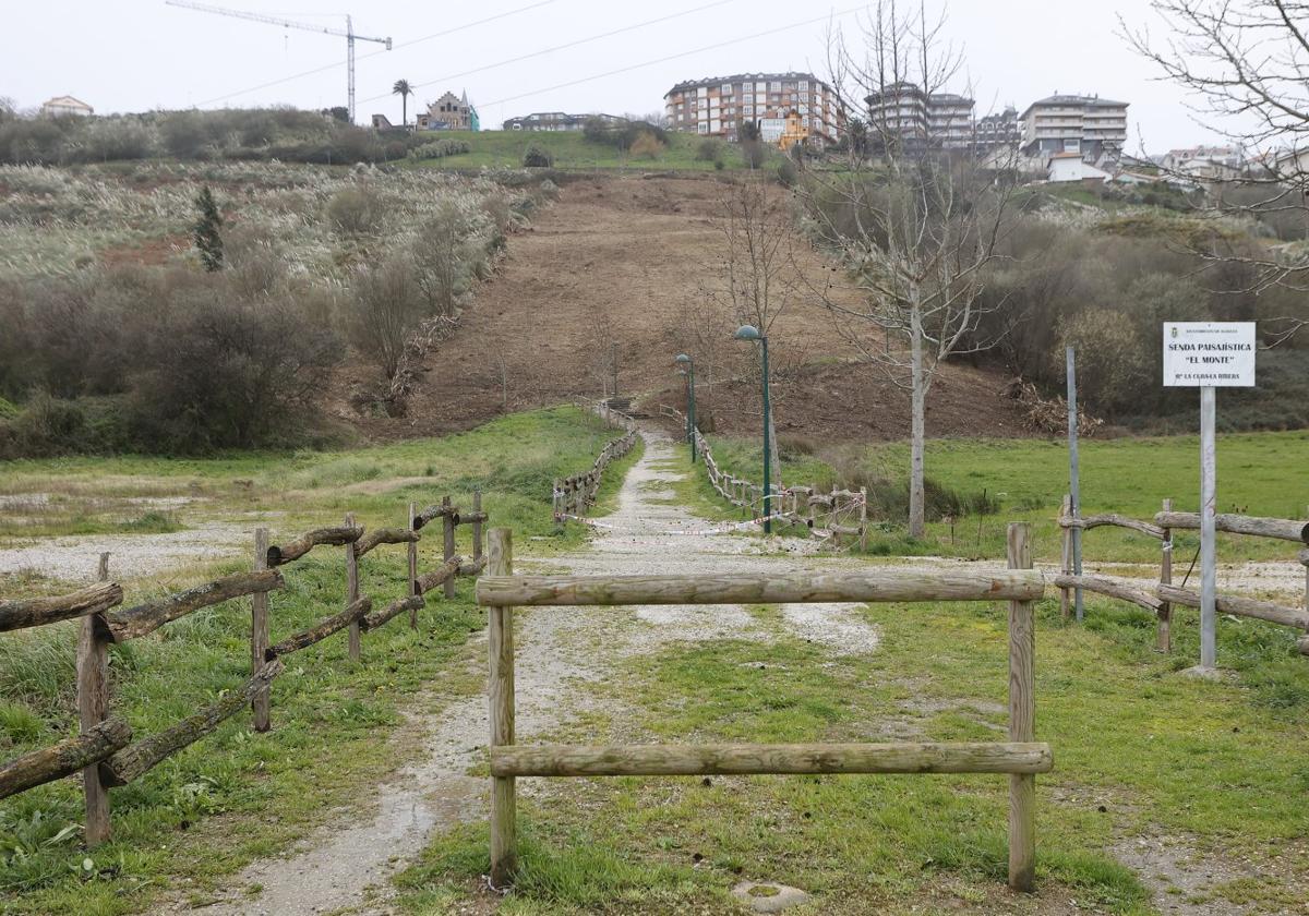 La ladera del monte, conocida como La Bárcena, donde irá ubicado el funicular de Suances.