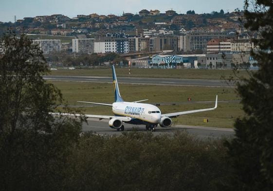 Condenan a Ryanair a pagar por un retraso motivado por el impacto de un ave en el avión