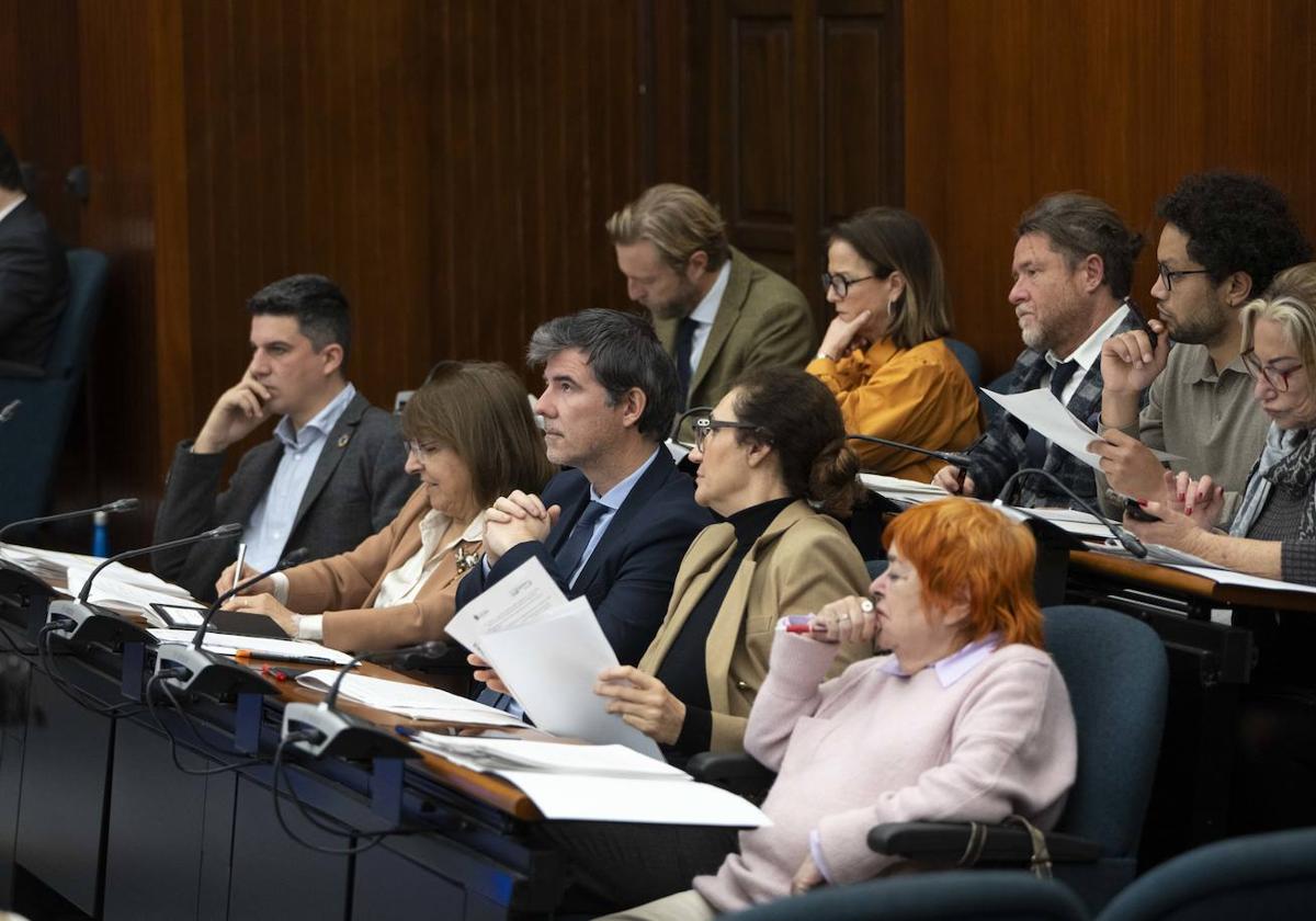 La bancada del PSOE, del PRC y el concejal de IU-Podemos, Keruin P. Martínez, durante el Pleno.