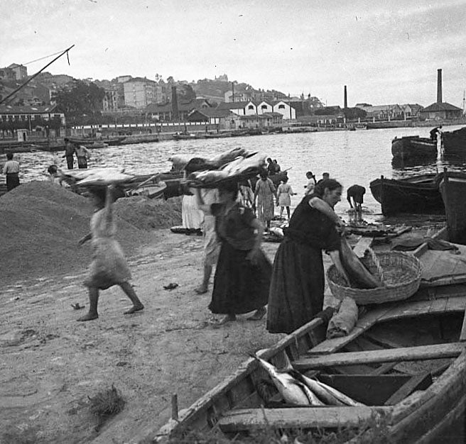 Trajinando el pescado en el muelle,