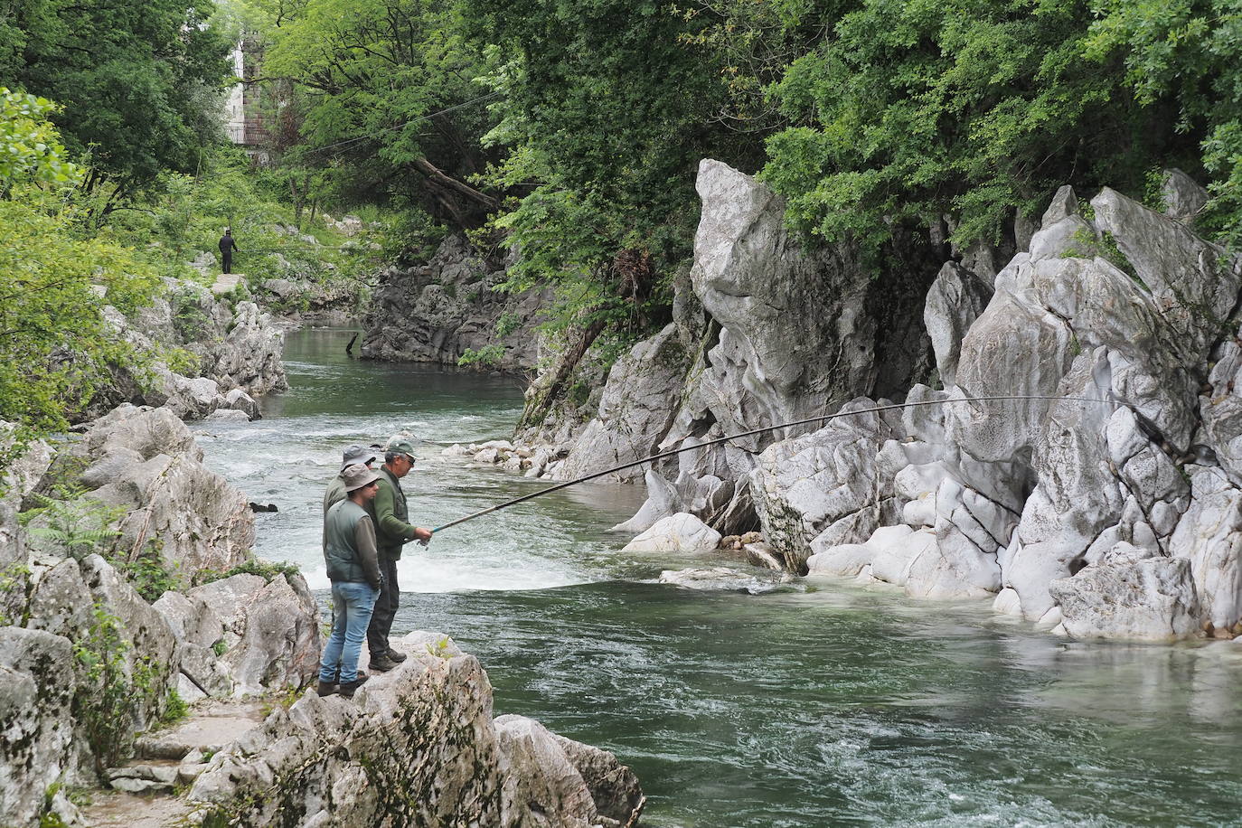 Unos pescadores, a la búsqueda del salmón en el coto del río Pas, a la altura de Puente Viesgo.