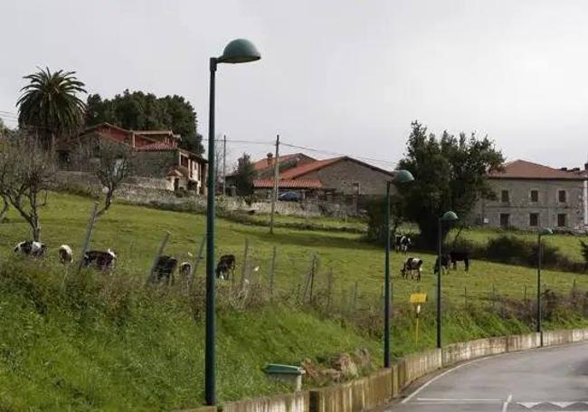 El cuerpo fue encontrado bajo unos árboles que había al lado del muro de este prado, por el que ella trató de huir.