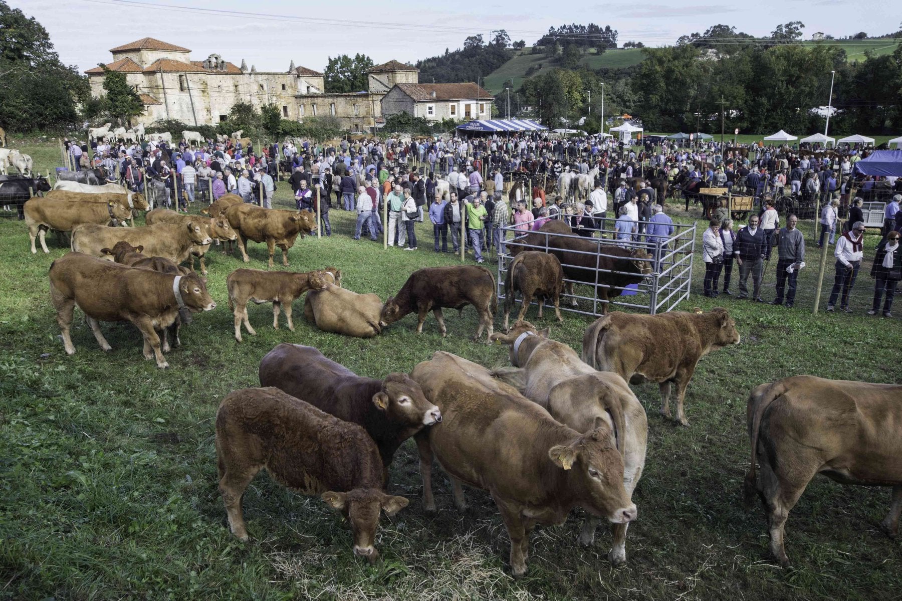 Vista de la feria en la campa del convento y, al fondo, el palacio de los Acevedo.