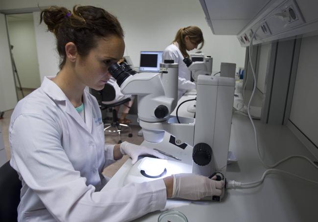 Investigadoras del IHCantabria trabajan en el nuevo Laboratorio de Hidrobiología.