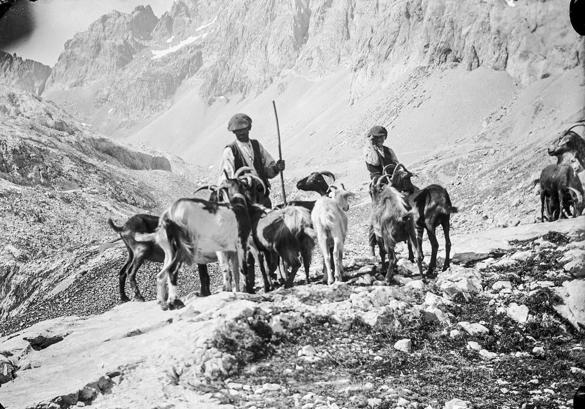 Félix Monteverde: Cabreros en Picos de Europa, 1891-1909.