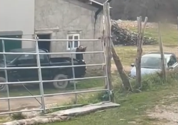 Detenido un vecino de Rionansa por disparar a un coche con ocupantes