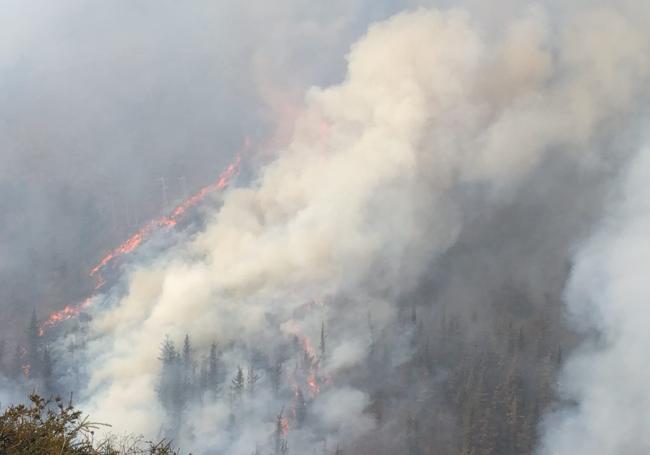 Incendio en Carmona.