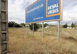 Nadie puja por las parcelas urbanizables en rebajas del gigante Reyal Urbis en Bezana