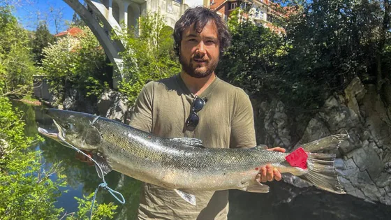 Enrique Corsini, pescador de Torrelavega, saca un 'campanu' de más de siete kilos en Vargas