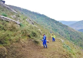 Operarios trabajan en el desbroce de montes en el municipio corraliego.