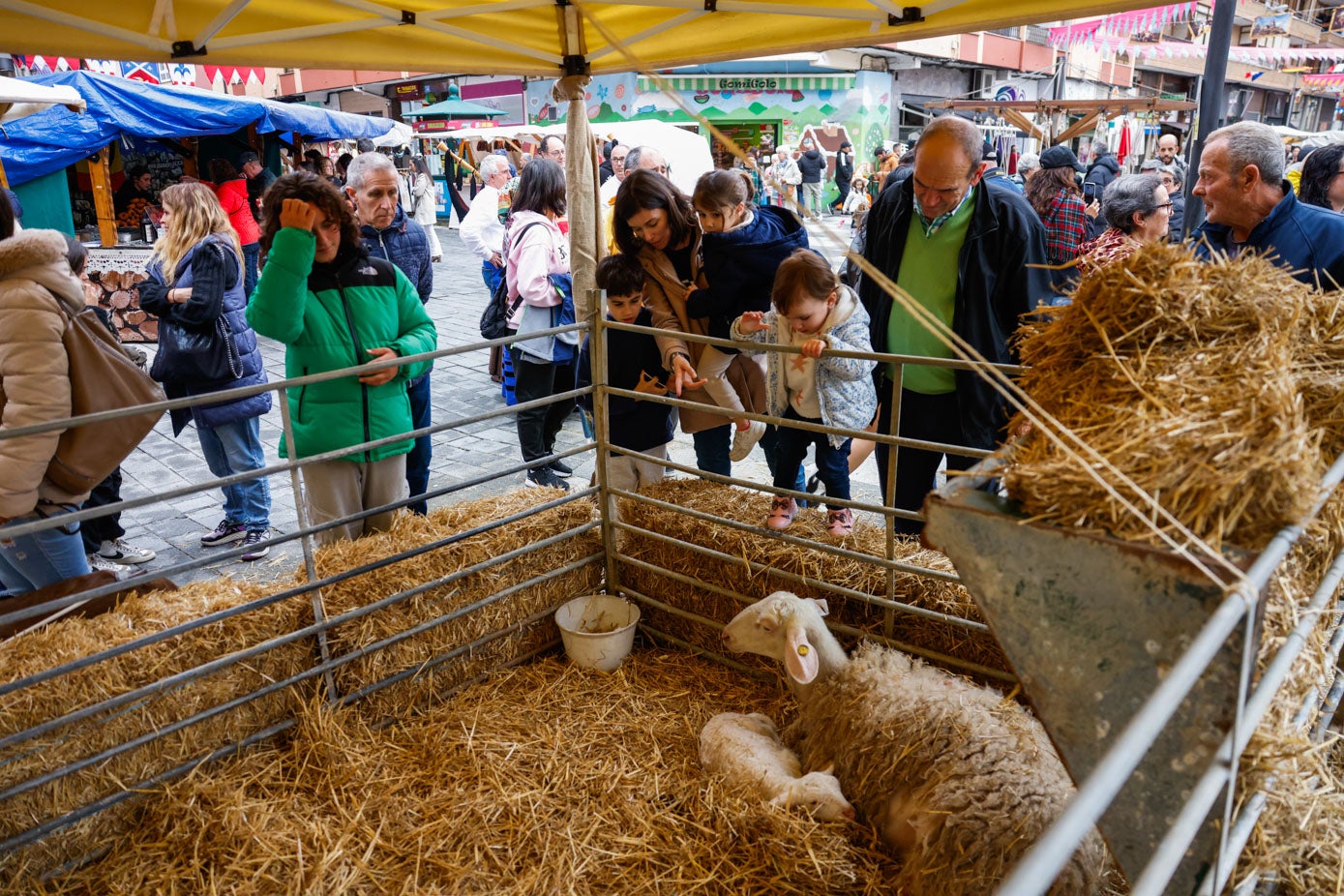 Las familias disfrutan de los animales que forman parte de la vida campestre de la España de la época.