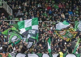 Aficionados verdiblancos de la Gradona animan al Racing durante el partido ante el Tenerife en los Campos de Sport de El Sardinero.