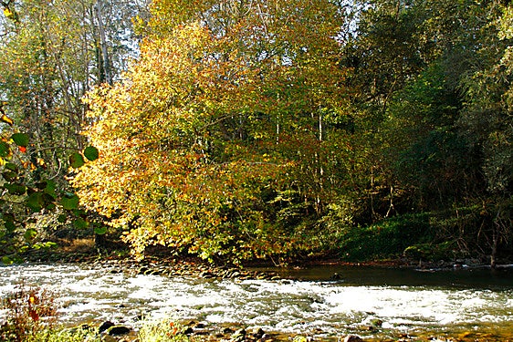 La senda fluvial del Nansa, en imágenes